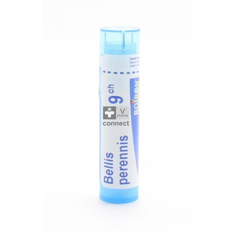 Bellis Perennis Granules 9 Ch Boiron