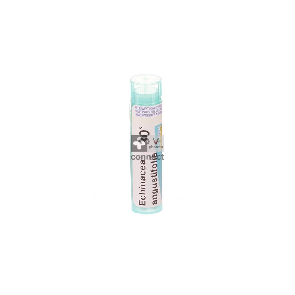 Echinacea Angustifolia 30k Gr 4g Boiron
