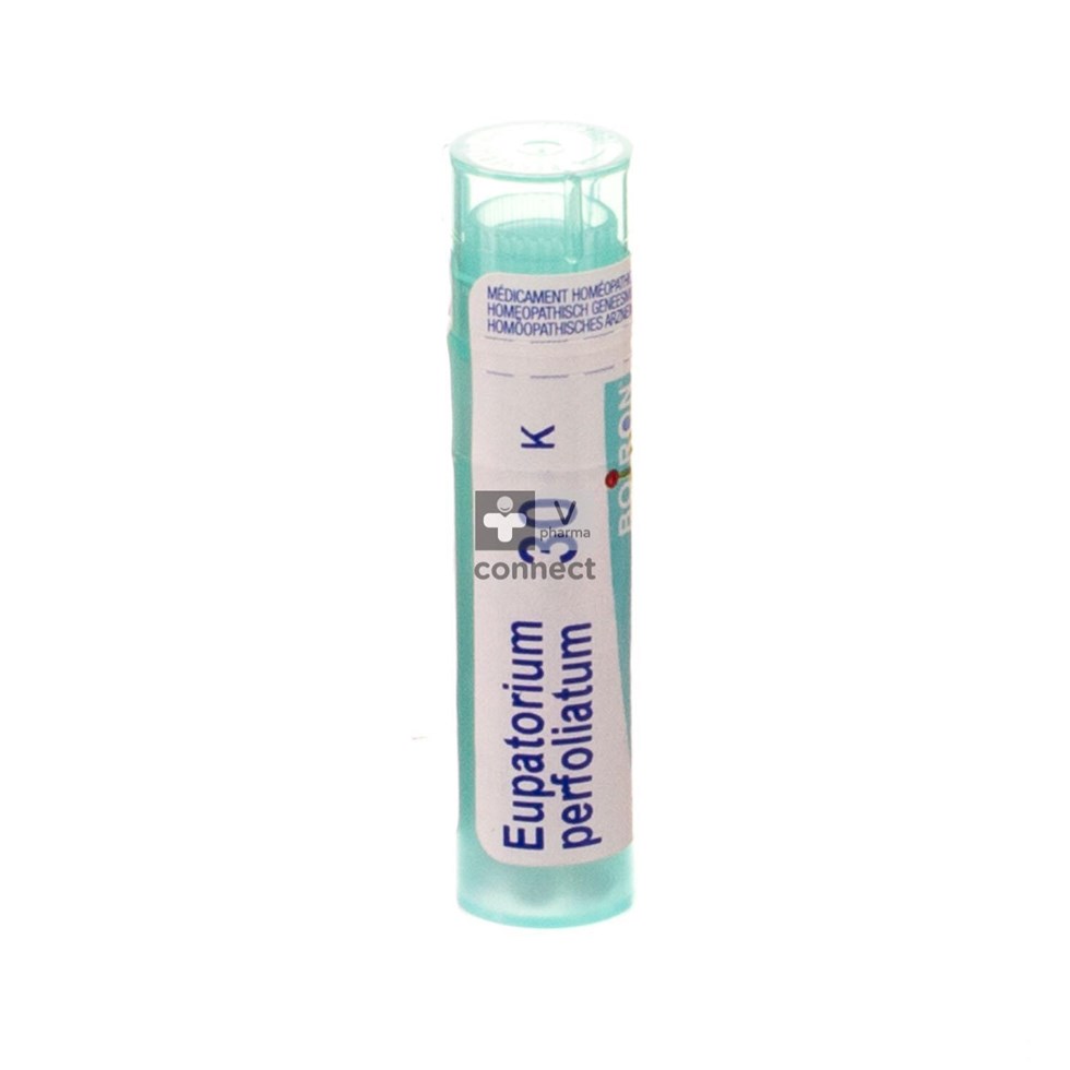 Eupatorium Perfoliatum 30k Gr 4g Boiron